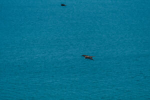 雑賀崎灯台からの景色