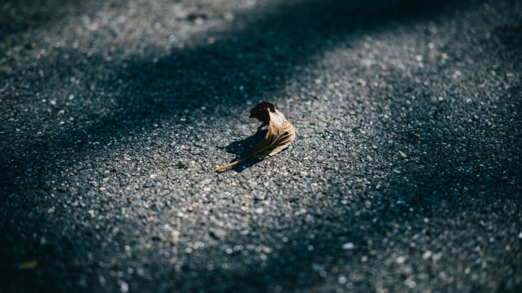 秋を感じる南禅寺。【Today’s Photograph】2022/09/30